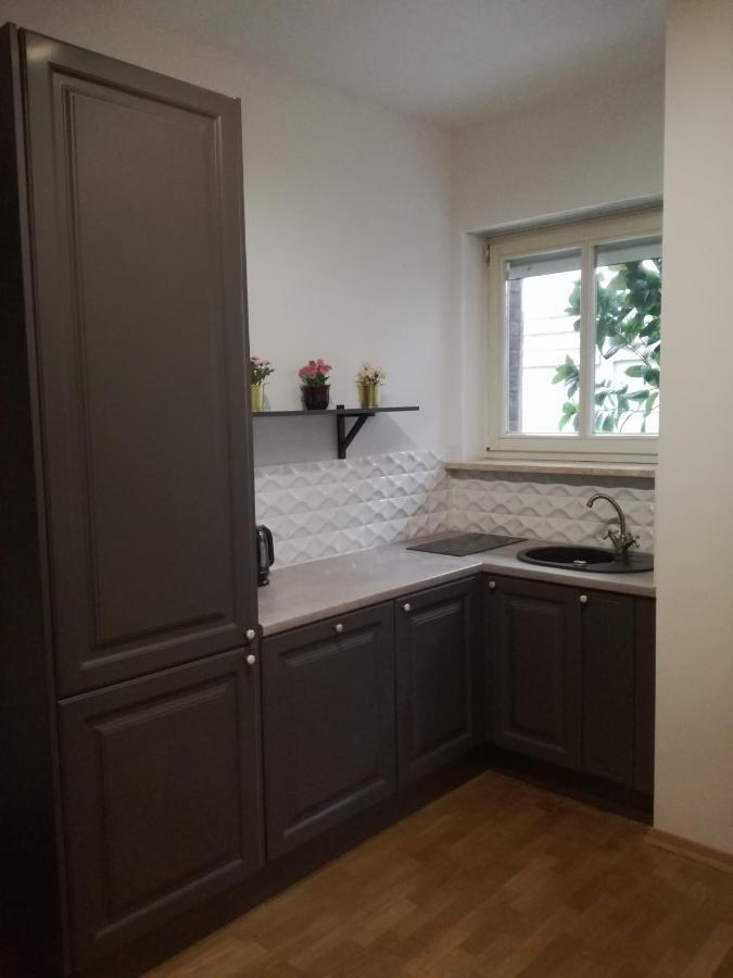 Business&Relax Apartment 14 Πόζναν Εξωτερικό φωτογραφία